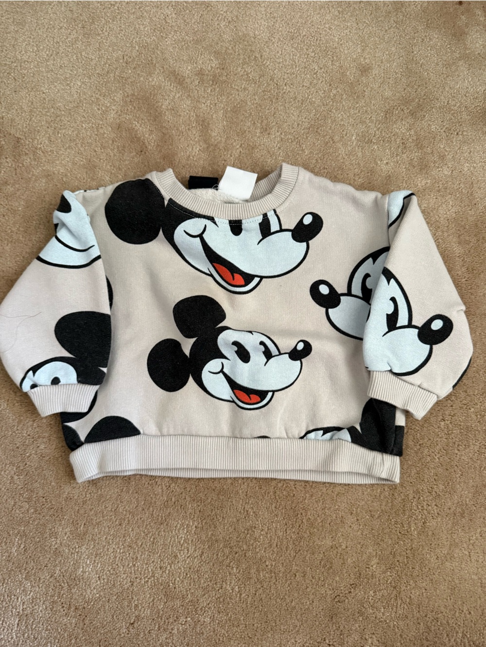 Zara Disney Sweatshirt